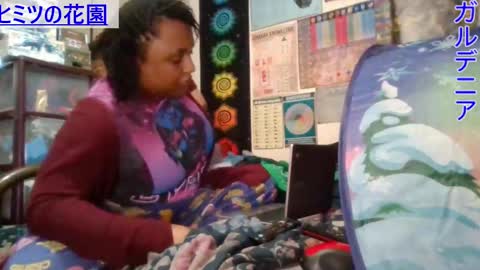 Gardenia online show from 6, 3, 2025