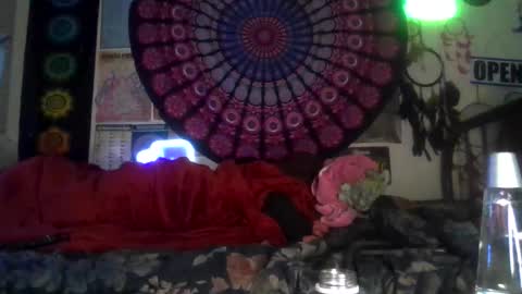 Gardenia online show from 4, 2, 2026