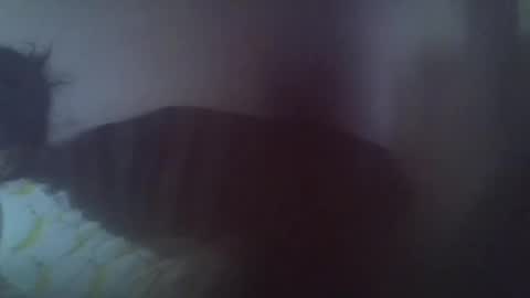 gasielah online show from 27, 1, 2025