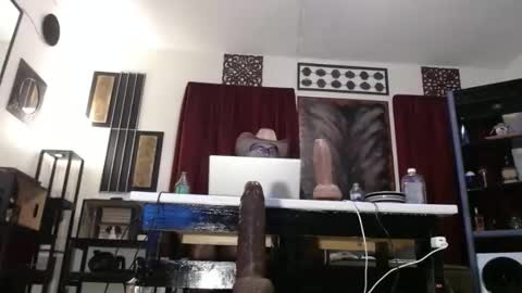 gatewaylaptop2019 online show from 22, 2, 2026