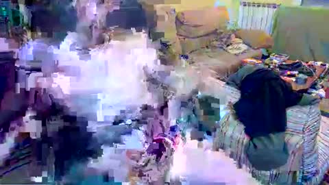 gatitosum32 online show from 24, 12, 2024