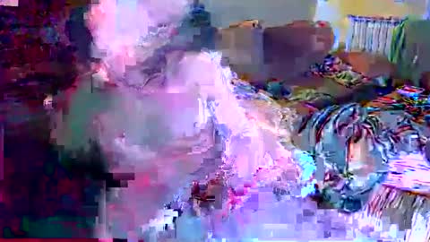 gatitosum32 online show from 25, 12, 2024