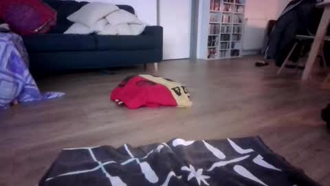 Snapshot of gaypuppychaste chatting on 23, 12, 2025 gaypuppychaste online show from 23, 12, 2025