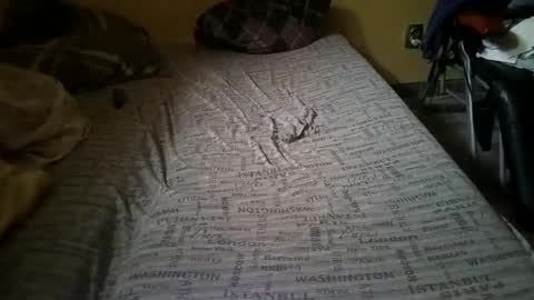 gazdadjoka online show from 14, 2, 2025