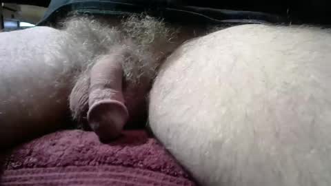 gemini_2 online show from 11, 1, 2026