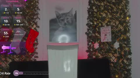 Snapshot of geminis_grey chatting on 21, 1, 2025 Geminis online show from 21, 1, 2025