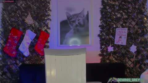 Snapshot of geminis_grey chatting on 26, 2, 2025 Geminis online show from 26, 2, 2025