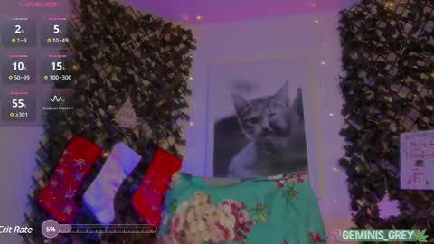 Snapshot of geminis_grey chatting on 27, 2, 2025 Geminis online show from 27, 2, 2025