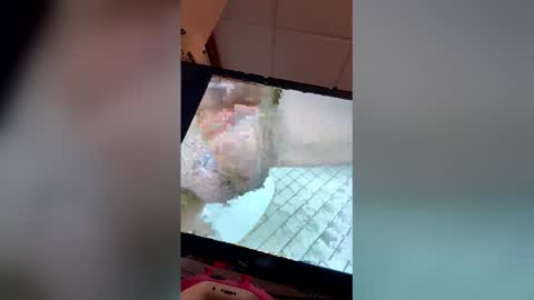 georgewithahj online show from 18, 4, 2026