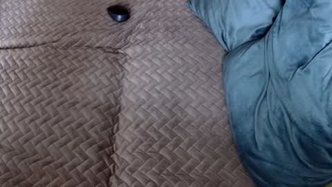 Melissa online show from 30, 11, 2025