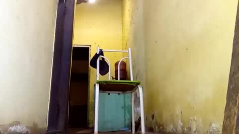 Gaby online show from 23, 2, 2026