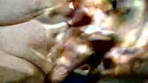 Snapshot of ghost1805 chatting on 29, 10, 2025 ghost1805 online show from 29, 10, 2025