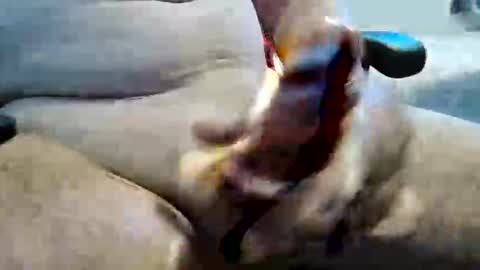 Snapshot of ghost1805 chatting on 10, 11, 2025 ghost1805 online show from 10, 11, 2025