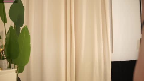 giainked online show from 3, 4, 2026