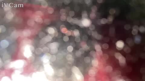 GingerNinja online show from 12, 1, 2025