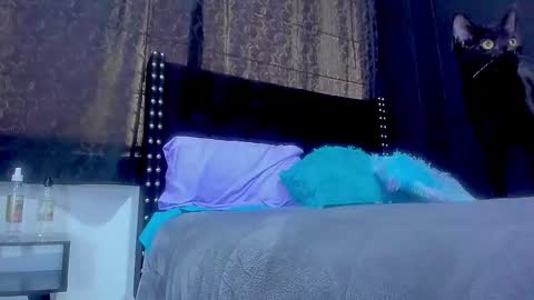 Snapshot of ginger_amarett chatting on 29, 9, 2025 Miss online show from 29, 9, 2025