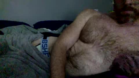 Snapshot of gingerdad41649 chatting on 11, 12, 2024 gingerdad41649 online show from 11, 12, 2024