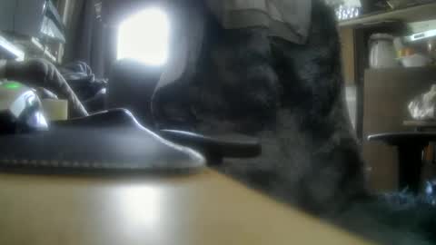 Snapshot of giovanne1 chatting on 5, 12, 2024 giovanne1 online show from 5, 12, 2024