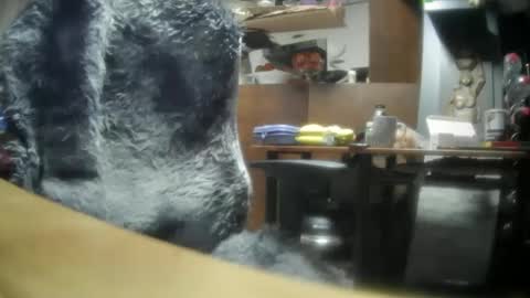 Snapshot of giovanne1 chatting on 8, 12, 2024 giovanne1 online show from 8, 12, 2024