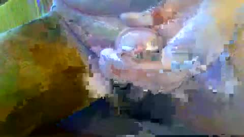 Snapshot of girafsnoop chatting on 28, 9, 2025 girafsnoop online show from 28, 9, 2025