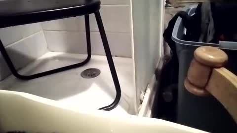 Snapshot of girlscallme666 chatting on 1, 12, 2025 lovegirlscallme online show from 1, 12, 2025