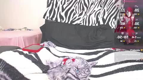 kim online show from 2, 2, 2026