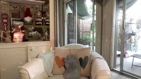 Snapshot of gl1tter_barbie chatting on 26, 11, 2025 Gl1tter Barbie online show from 26, 11, 2025