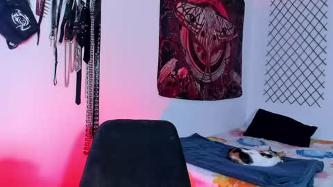 Snapshot of glitch_doll chatting on 4, 6, 2026 NYX online show from 4, 6, 2026