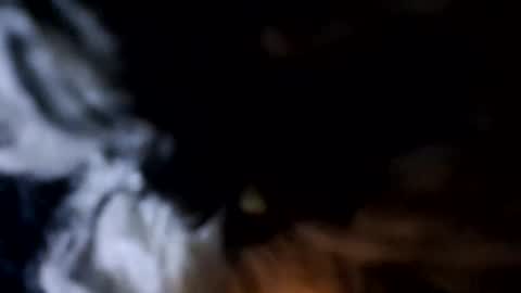 Snapshot of glizzy4u chatting on 19, 12, 2025 glizzy4u online show from 19, 12, 2025