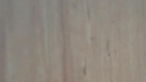 Glyder online show from 7, 2, 2025