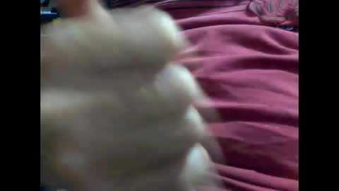 PencilDick online show from 9, 2, 2025