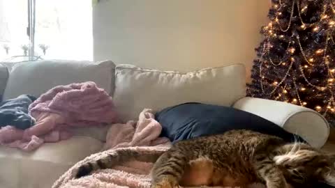 Snapshot of goddessmayvn chatting on 3, 12, 2024 GoddessMayvn online show from 3, 12, 2024