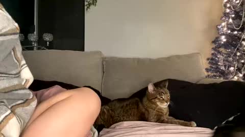 Snapshot of goddessmayvn chatting on 29, 12, 2024 GoddessMayvn online show from 29, 12, 2024