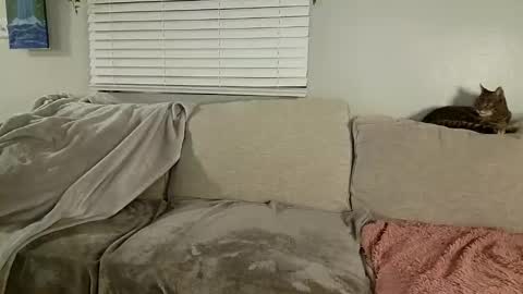Snapshot of goddessmayvn chatting on 30, 1, 2025 GoddessMayvn online show from 30, 1, 2025