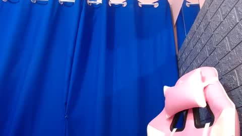 Caulix online show from 16, 12, 2024