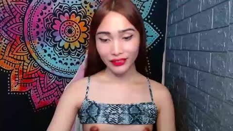 Caulix online show from 26, 1, 2025