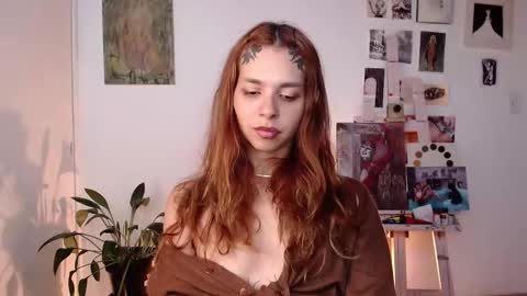 Alaska online show from 11, 3, 2026