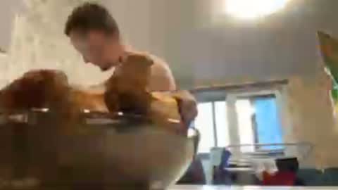 Snapshot of golden_boyyy21 chatting on 25, 1, 2025 Golden boyyy21 online show from 25, 1, 2025