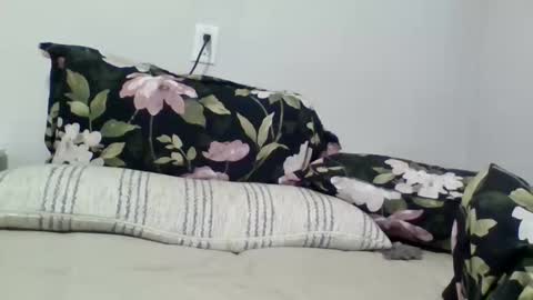 lightskingirl19 online show from 10, 4, 2026