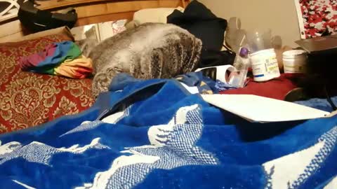 Juicy Booty online show from 28, 12, 2024