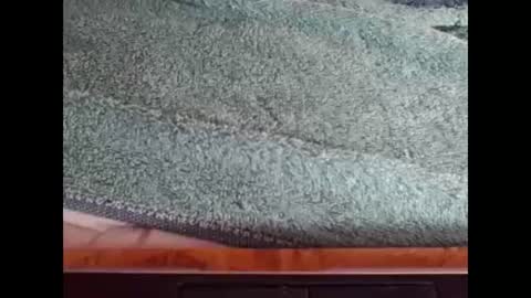 Snapshot of goodboyzon chatting on 8, 12, 2024 goodboy online show from 8, 12, 2024