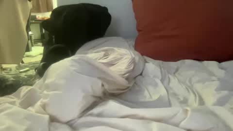 goodparker online show from 8, 10, 2025