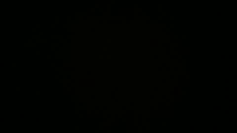 goodparker online show from 9, 10, 2025