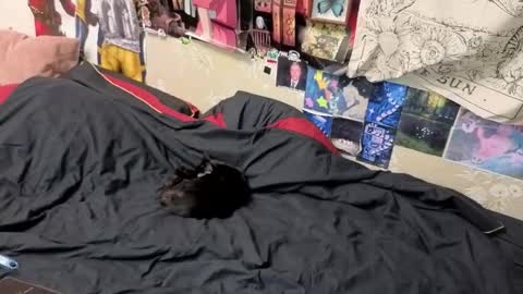 Snapshot of goth_pumpkin chatting on 7, 11, 2025 Amy online show from 7, 11, 2025