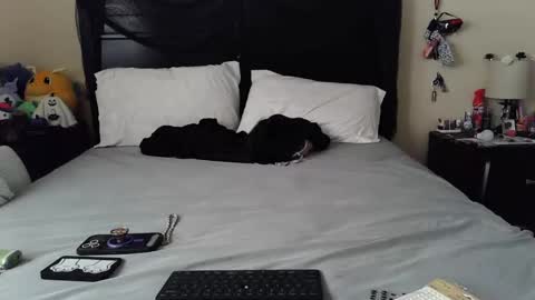 Snapshot of gothbaby305 chatting on 29, 10, 2025 gothbaby305 online show from 29, 10, 2025