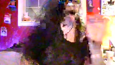 GothickMaiden online show from 11, 7, 2026