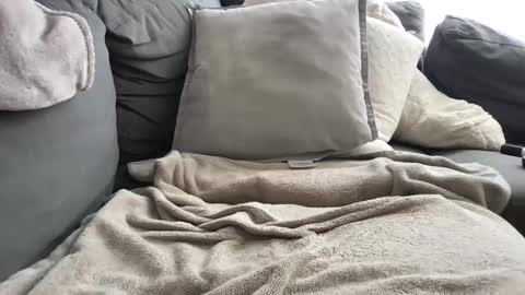 gotthisbbc online show from 6, 11, 2025