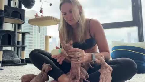 Gracie Mae online show from 24, 6, 2026