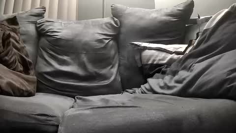 Snapshot of gratiotony chatting on 14, 12, 2024 Get US to 1000 you wont be disapointed online show from 14, 12, 2024