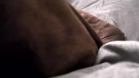 Snapshot of gratiotony chatting on 16, 12, 2024 Get US to 1000 you wont be disapointed online show from 16, 12, 2024